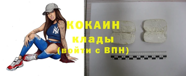 МДПВ Михайлов