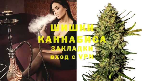 МДПВ Михайлов