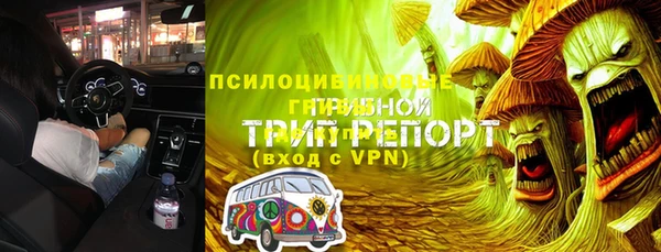 МДПВ Михайлов