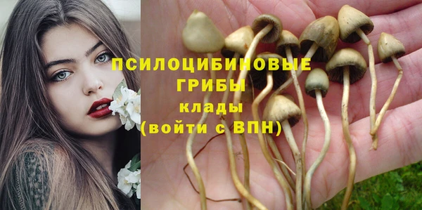 ALPHA PVP Михайловск