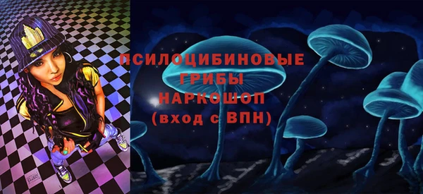 МДПВ Михайлов