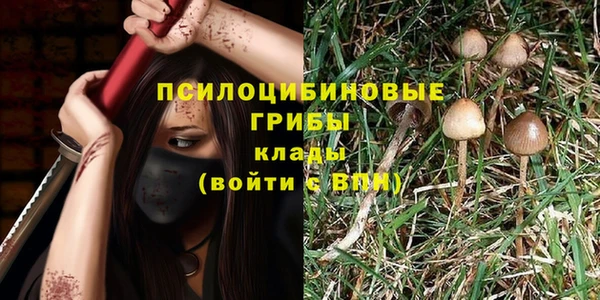 альфа пвп Михайловка