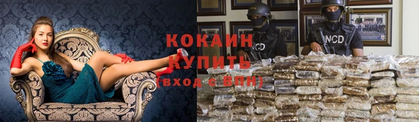МДПВ Михайлов