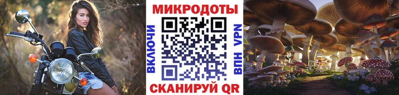купить наркотики сайты  Иваново  Галлюциногенные грибы GOLDEN TEACHER 