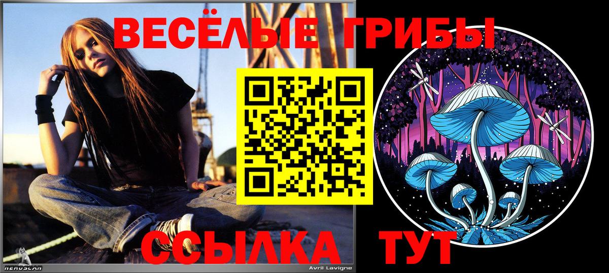 Псилоцибиновые грибы Magic Shrooms Иваново