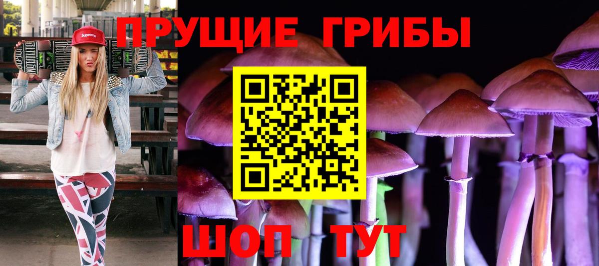 Псилоцибиновые грибы Psilocybe  Вход с VPN  Иваново 