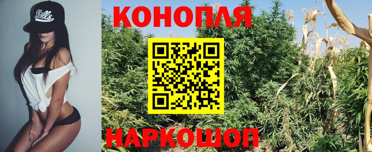 Конопля Bruce Banner  Конопля ГИДРОПОН  Иваново  Конопля семена 